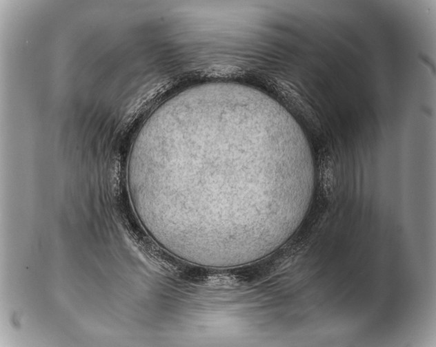 X0000102390591200808221827