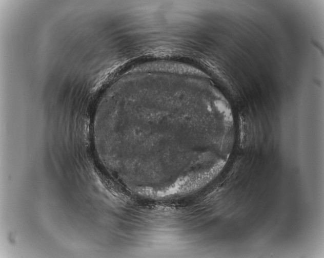 X0000102390592200808221827