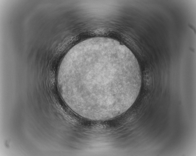 X0000102390593200808221826