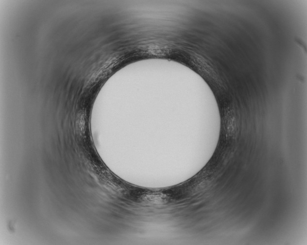 X0000102390595200808221826