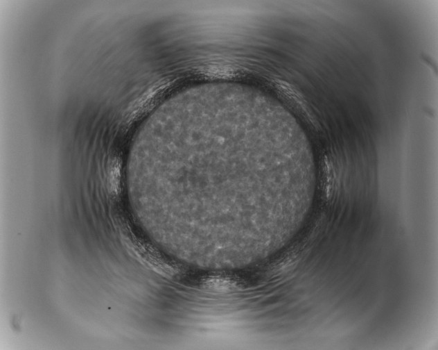 X0000102390596200808221826