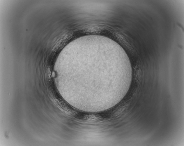 X0000102390597200808221826