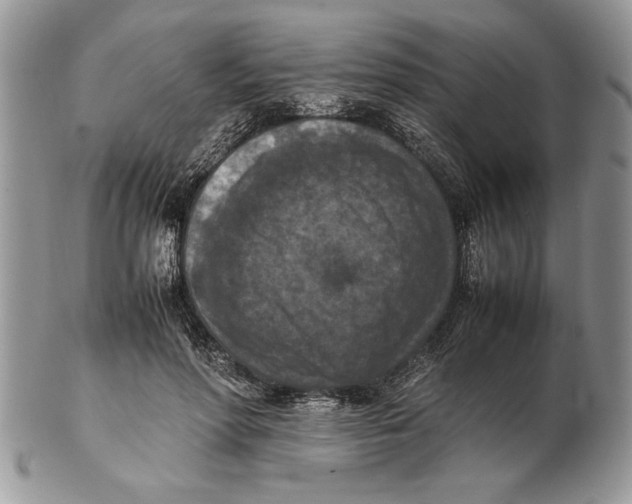 X0000102390598200808221826