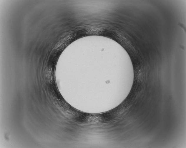 X0000102390599200808221826