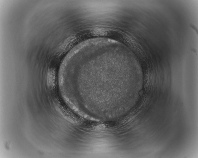 X0000102390600200808221826