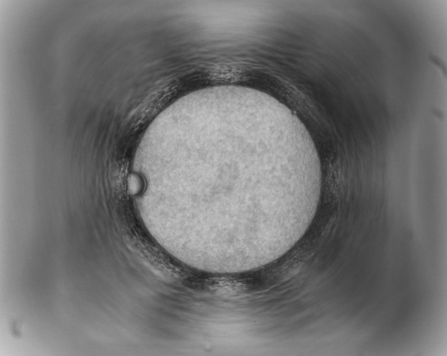 X0000102390601200808221826