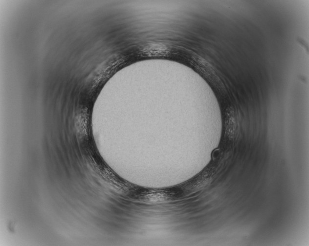 X0000102390604200808221826