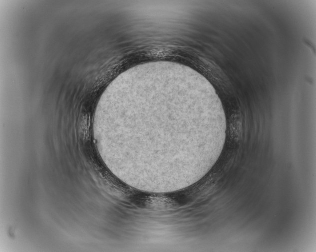 X0000102390605200808221826