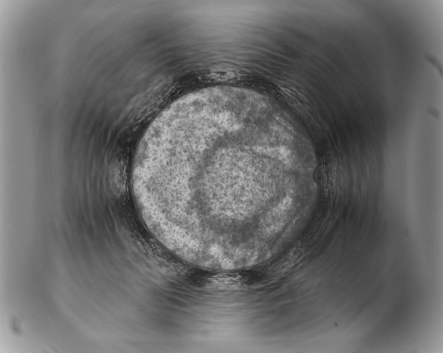 X0000102390606200808221826