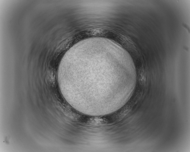 X0000102390607200808221826