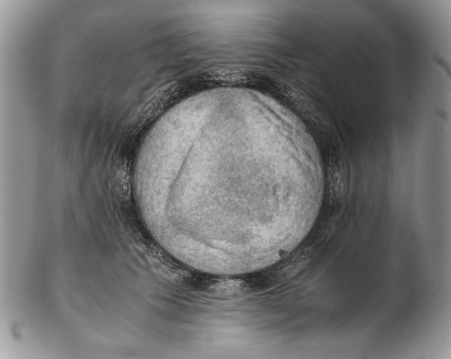 X0000102390609200808221826