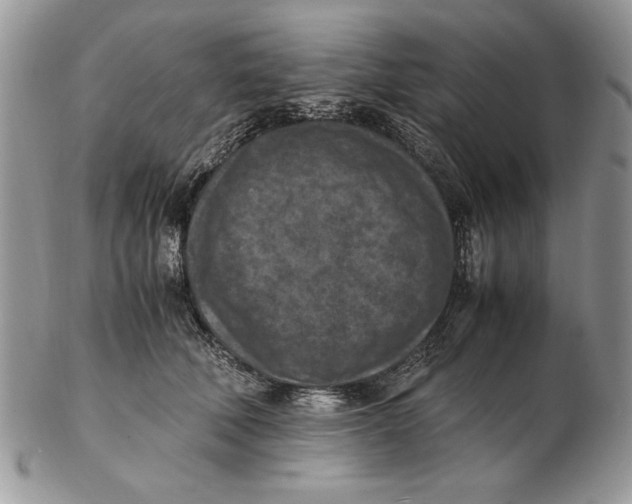 X0000102390610200808221826