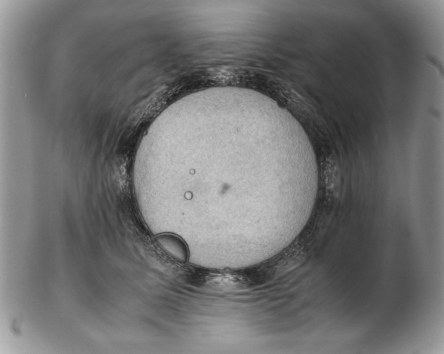 X0000102390611200808221826