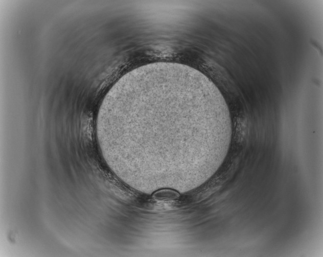 X0000102390612200808221826