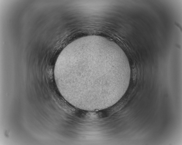 X0000102390613200808221826