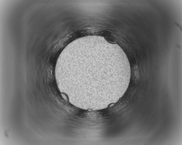 X0000102390615200808221826