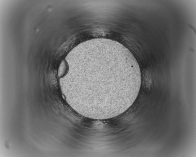 X0000102390616200808221826