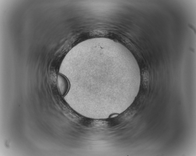 X0000102390617200808221826