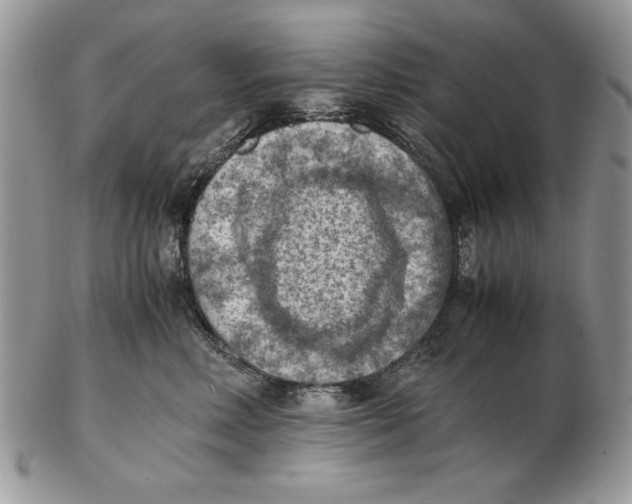 X0000102390618200808221826