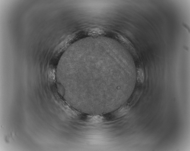 X0000102390621200808221826