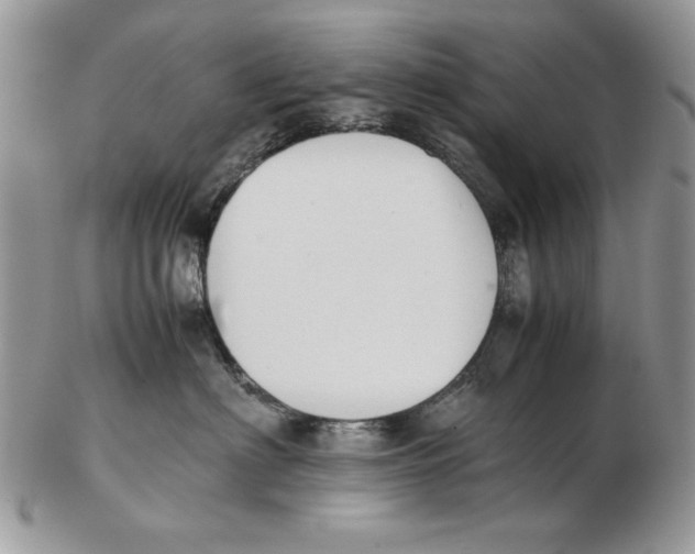 X0000102390622200808221826