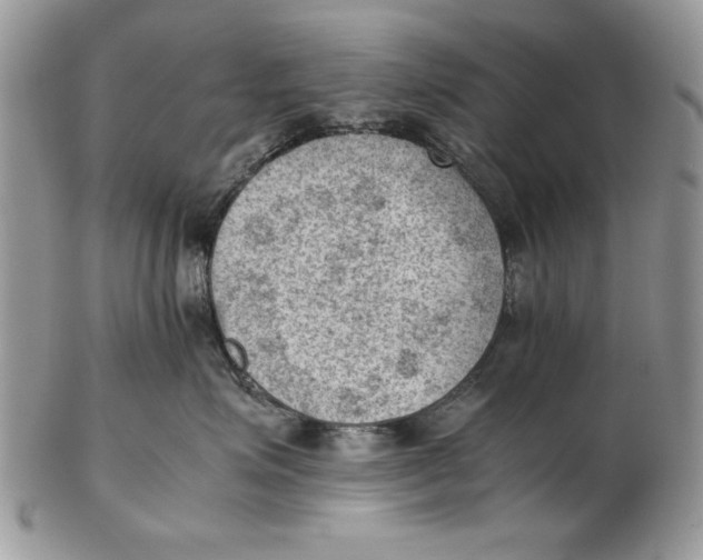 X0000102390623200808221826