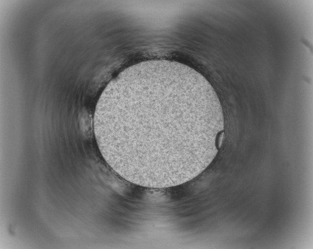 X0000102390624200808221826