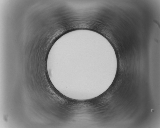 X0000102390625200808221825