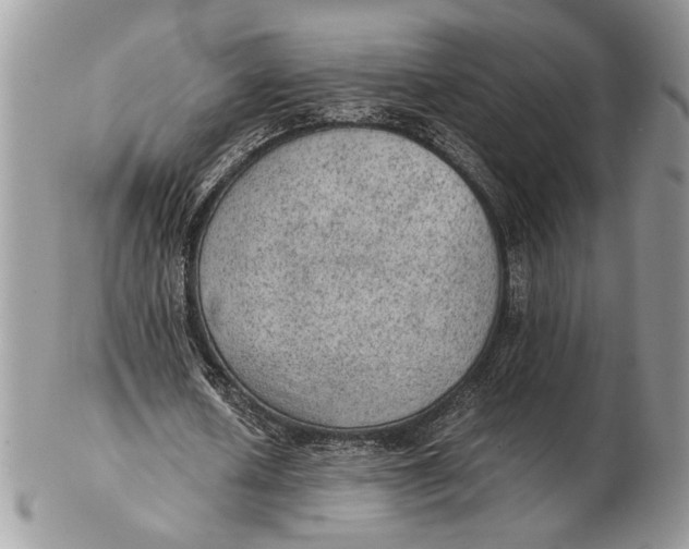 X0000102390626200808221825