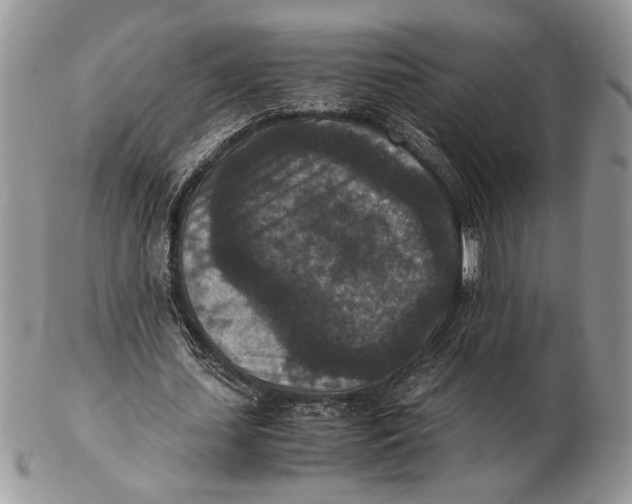 X0000102390627200808221825