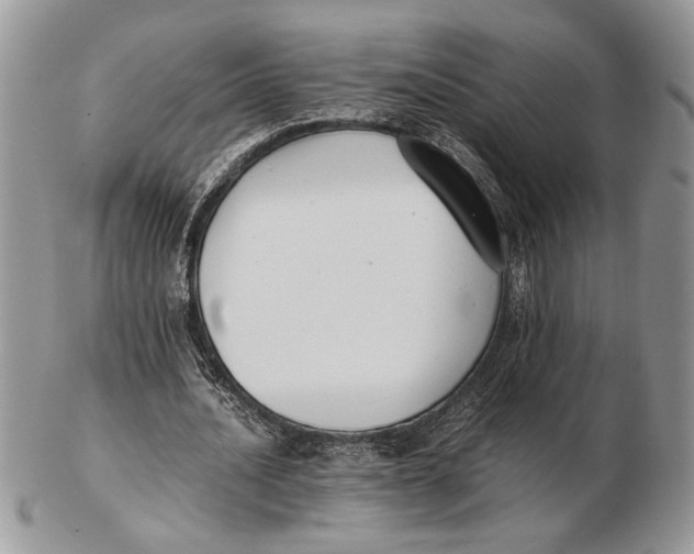 X0000102390628200808221825