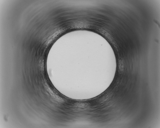 X0000102390629200808221825