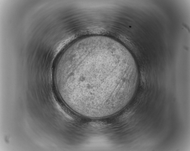 X0000102390630200808221825