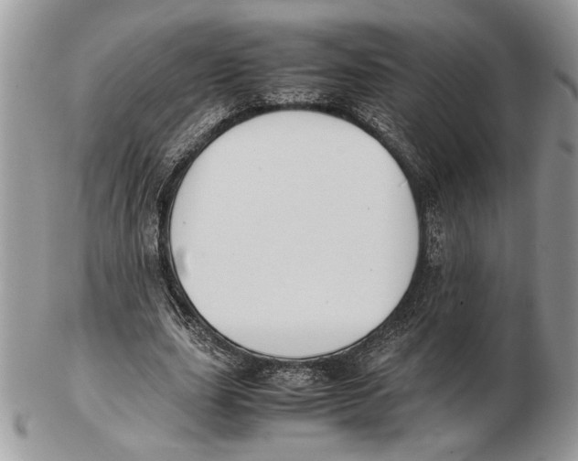 X0000102390631200808221825