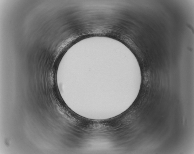 X0000102390632200808221825