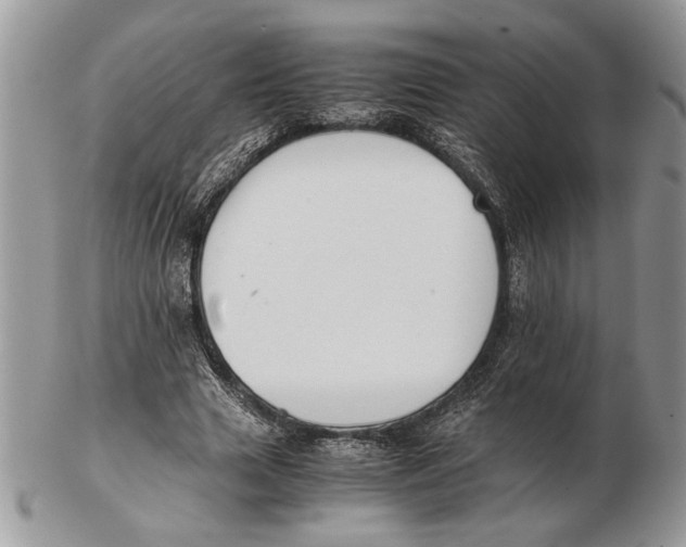 X0000102390633200808221825