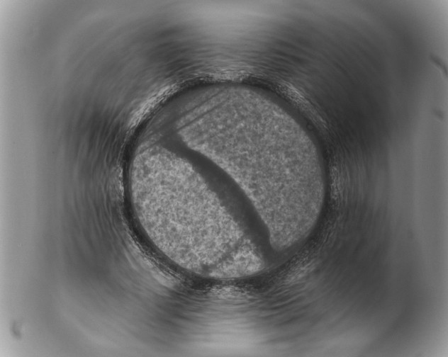 X0000102390634200808221825