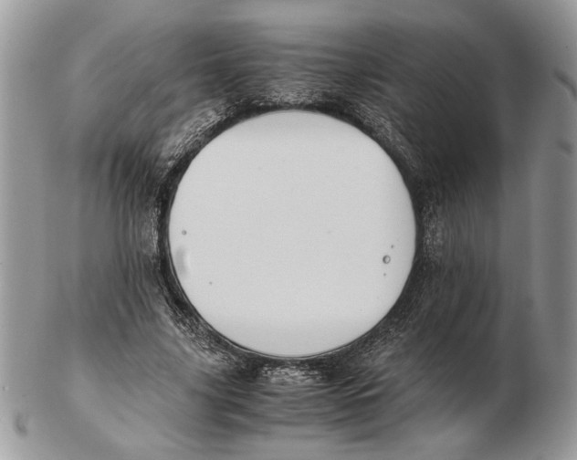 X0000102390635200808221825