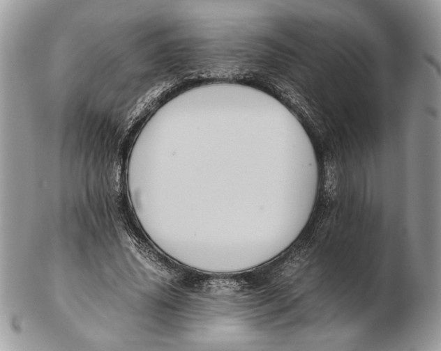 X0000102390636200808221825