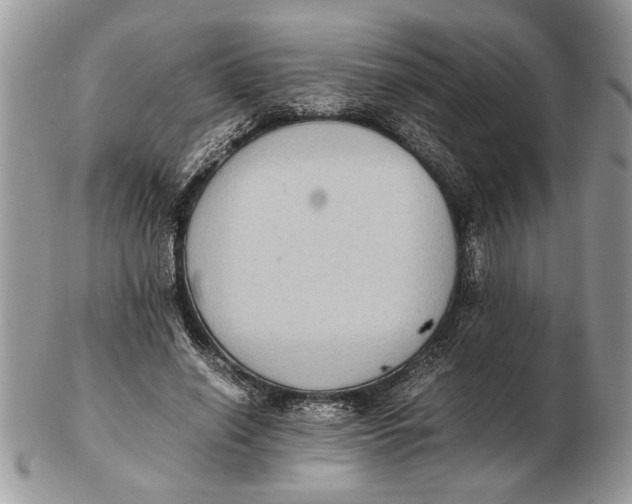 X0000102390638200808221826