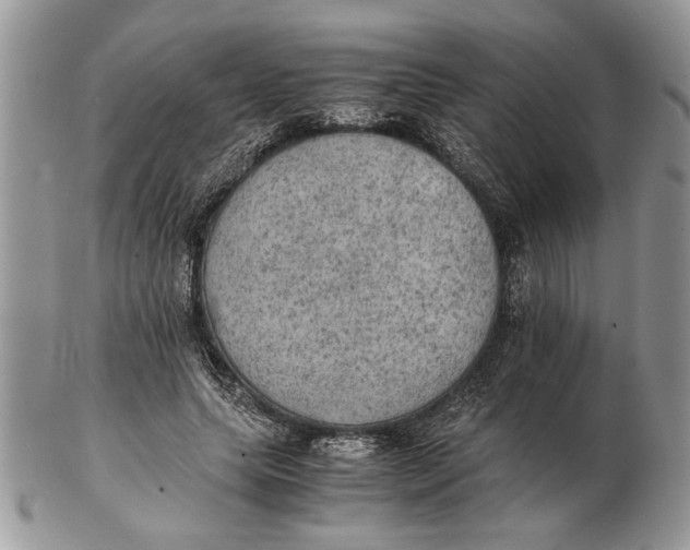 X0000102390639200808221826