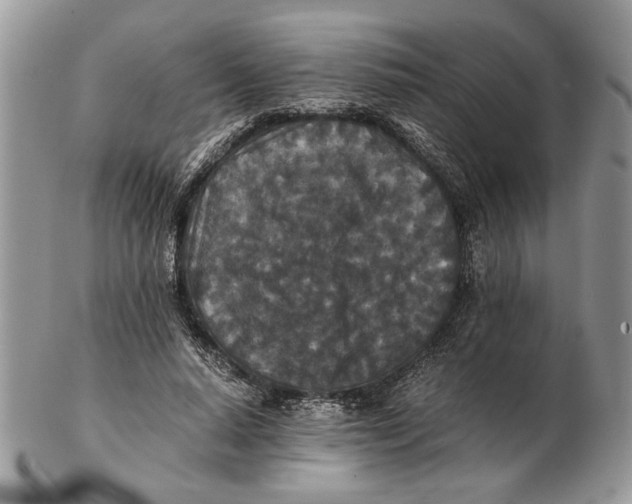 X0000102390640200808221826