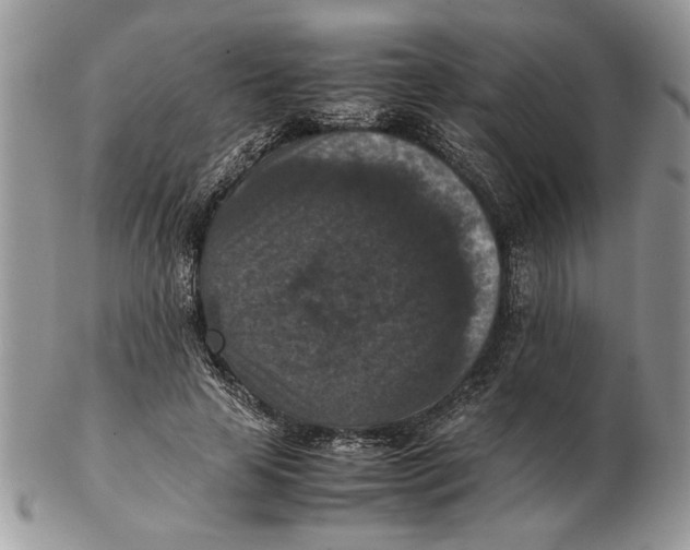 X0000102390641200808221826