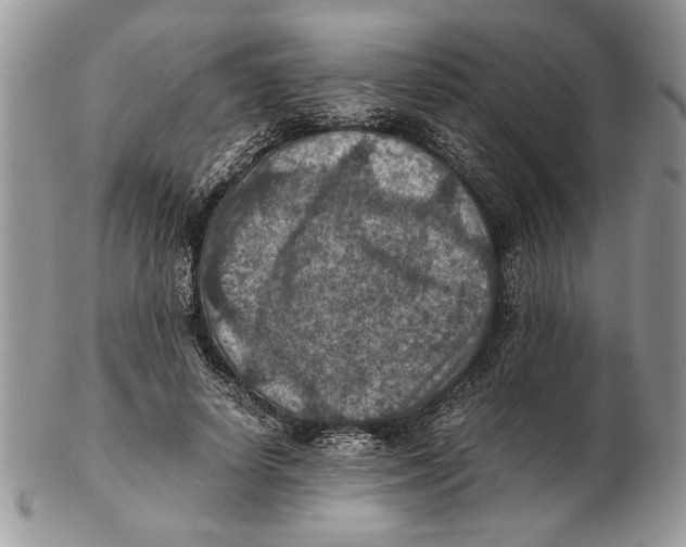 X0000102390642200808221826