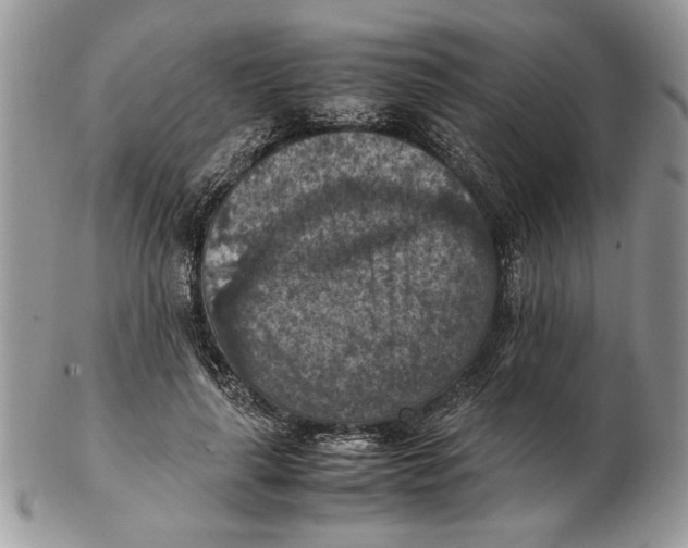 X0000102390643200808221826