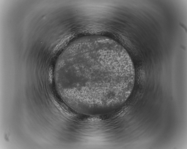 X0000102390644200808221826