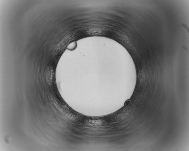 X0000102390645200808221826