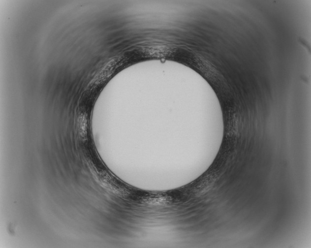 X0000102390646200808221826