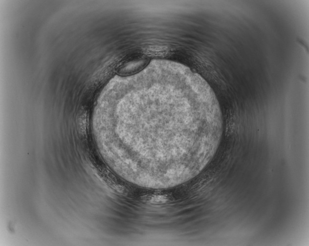 X0000102390647200808221826