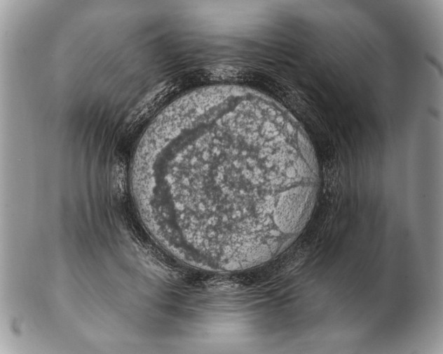 X0000102390648200808221826